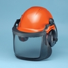 Logger Helmets & Systems